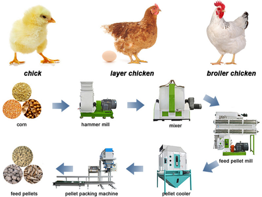 15mm Baby Chicken Poultry Feed Production Line 5 Tons Per Hr